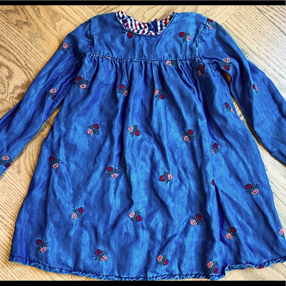 dainty denim rose dress